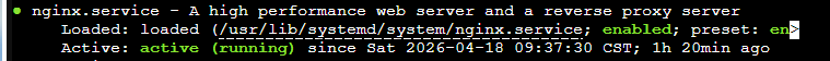 插图⑥:nginx -t syntax ok