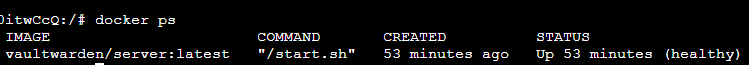 docker ps 显示 vaultwarden 容器 running 和端口映射